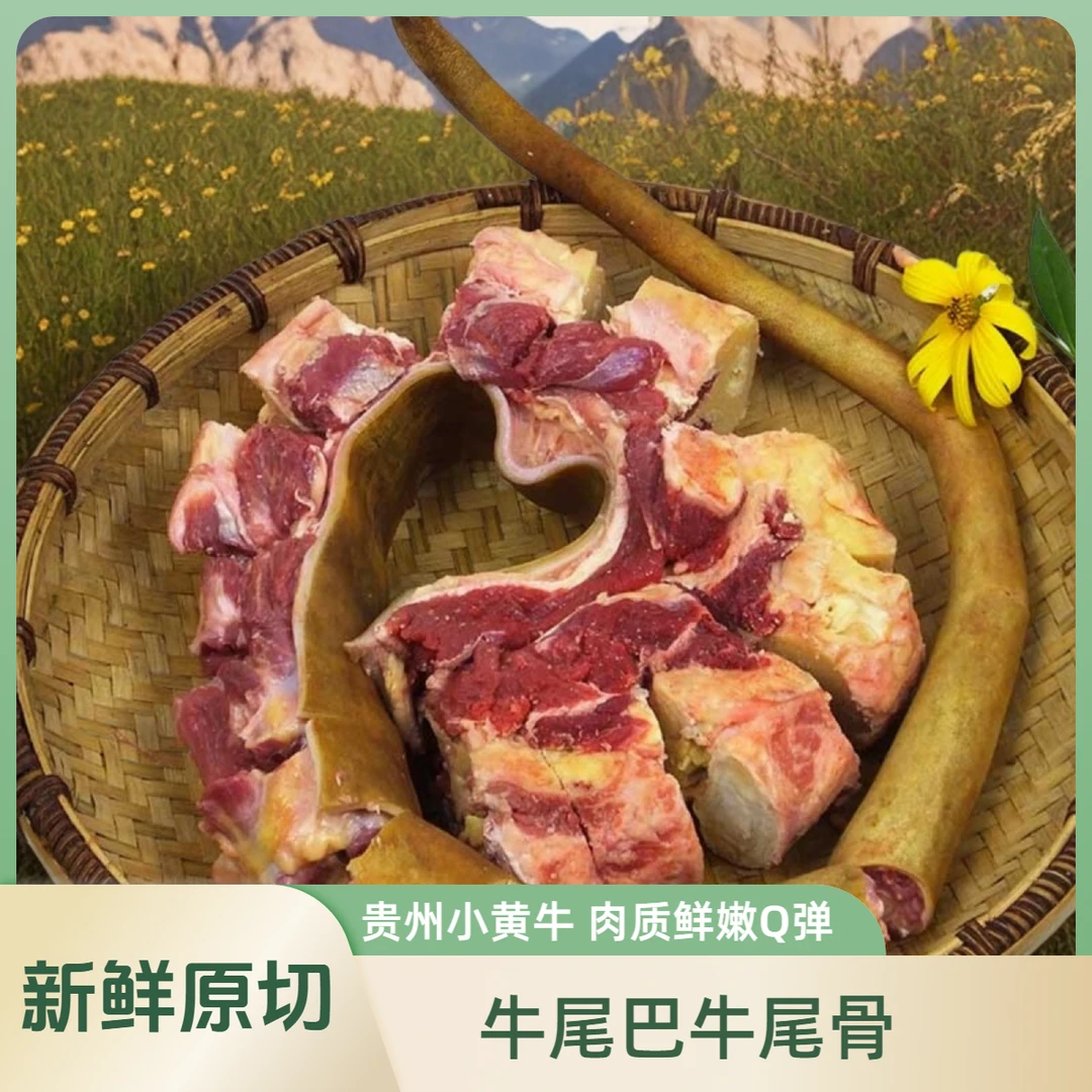 【牛尾巴】贵州高山小黄牛带皮牛尾巴牛尾骨肉质优质新鲜原切