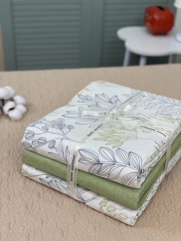 AB版纯棉斜纹双人绗缝印花可机洗隐藏式拉链四季通用母婴A类被罩