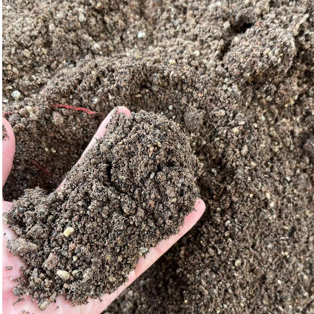 仙人球基地专用土＋珍珠岩颗粒土