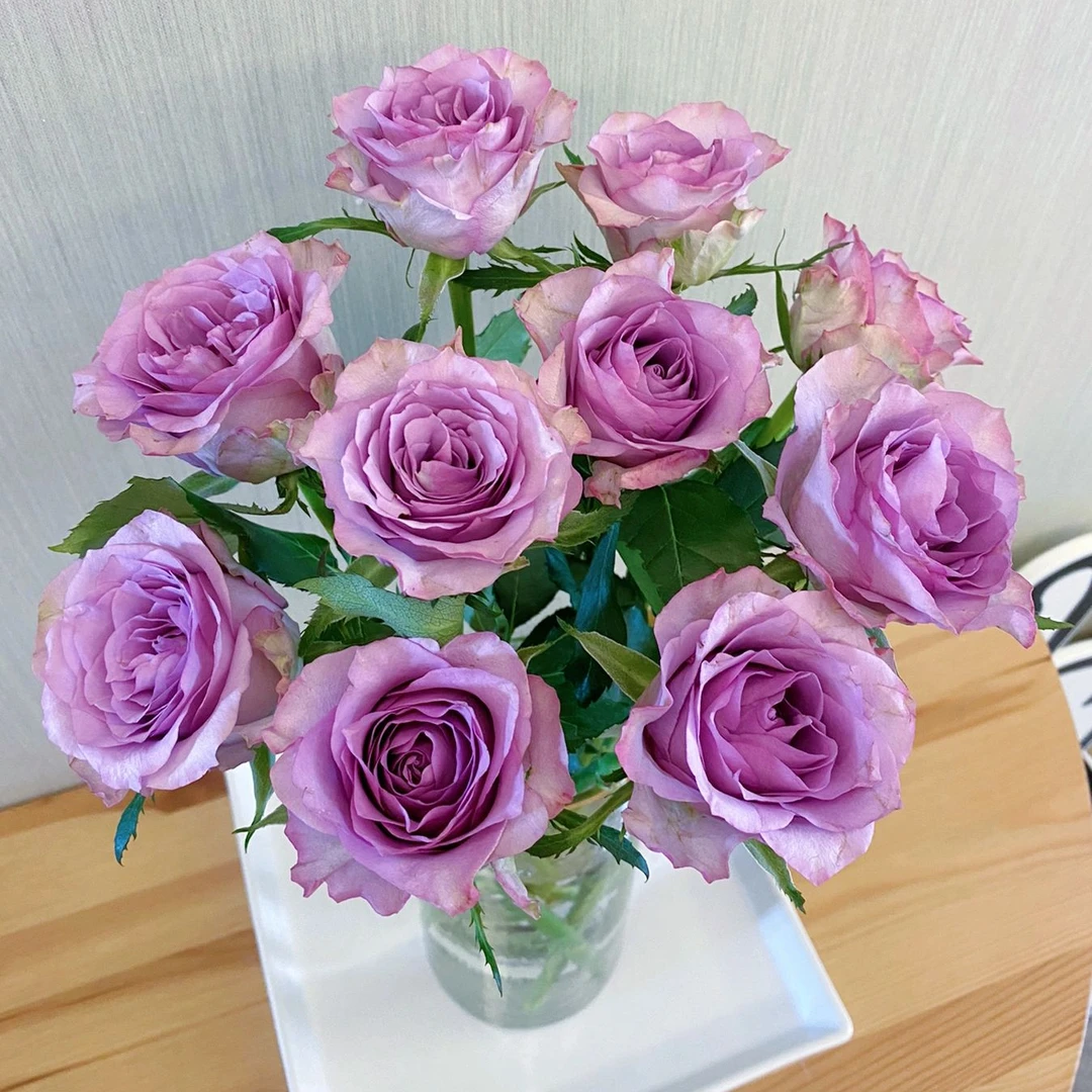 【紫霞仙子玫瑰】云南高品质鲜花全场鲜花任意两单及以上包邮