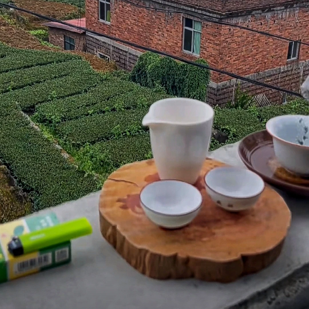 原木干泡茶台底座茶垫实木茶杯垫天然原木原色（视频款）