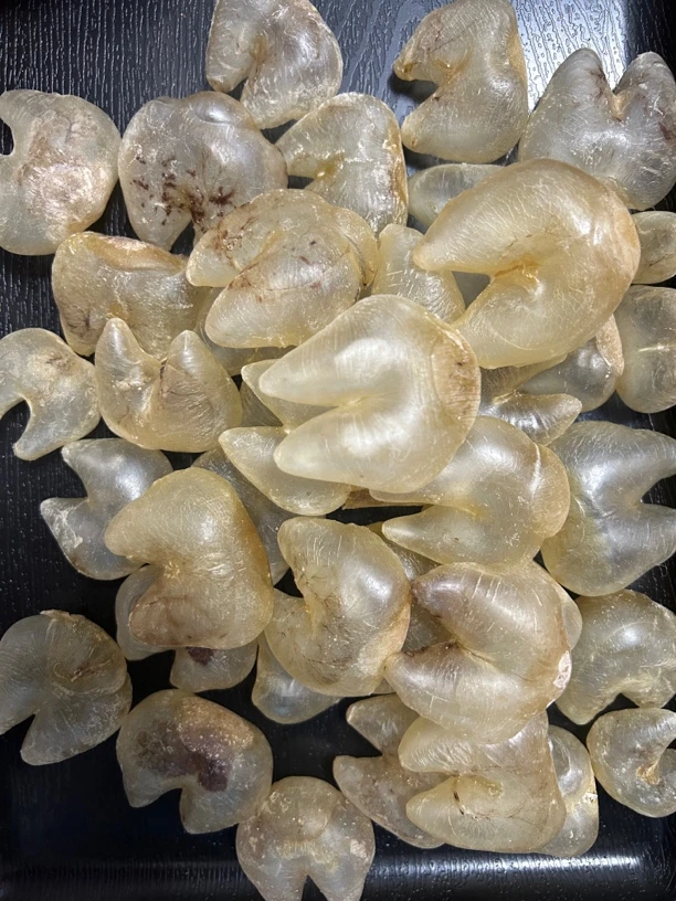 ［日日滋补］100T鸡泡胶 送子胶 备孕胶房子胶