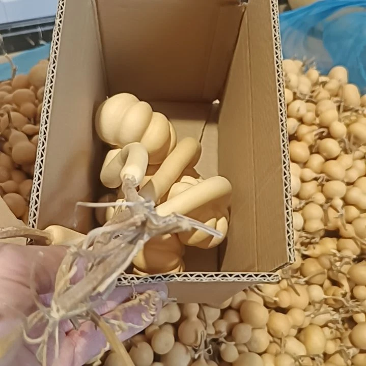 【闪购商品】铜葫芦
