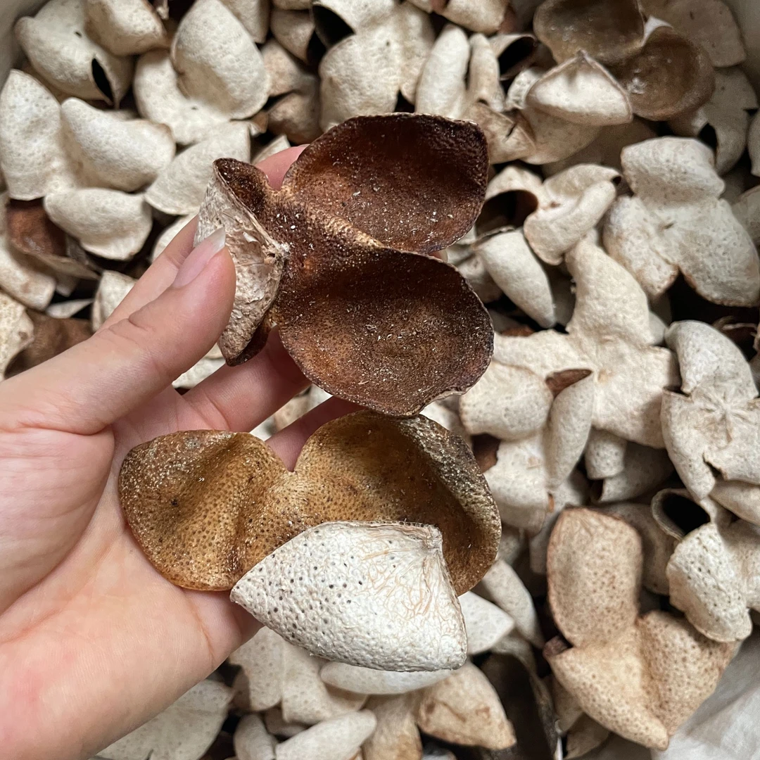 【断皮薄荷回凉】2020东甲圈枝二红油皮仔(直播间为准)