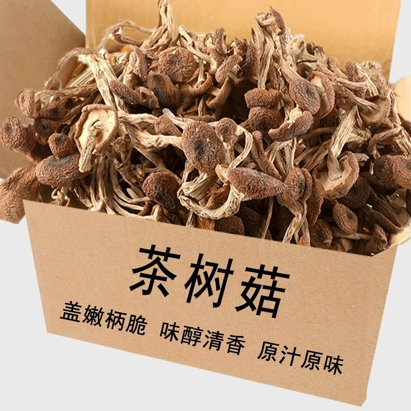 茶树菇干货未开伞当季新货无硫熏煲汤炖煮涮火锅食材无干燥剂散装
