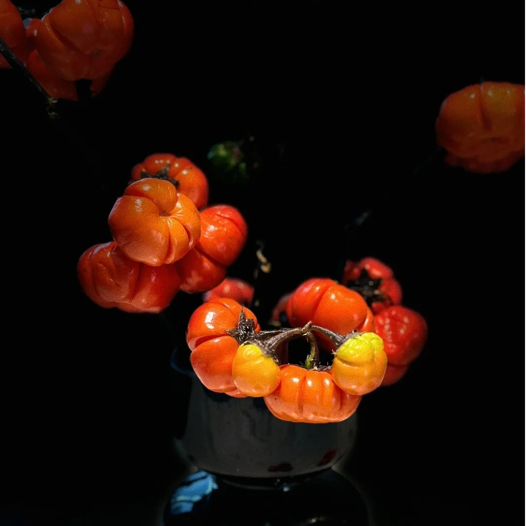 鲜切花小南瓜 ..