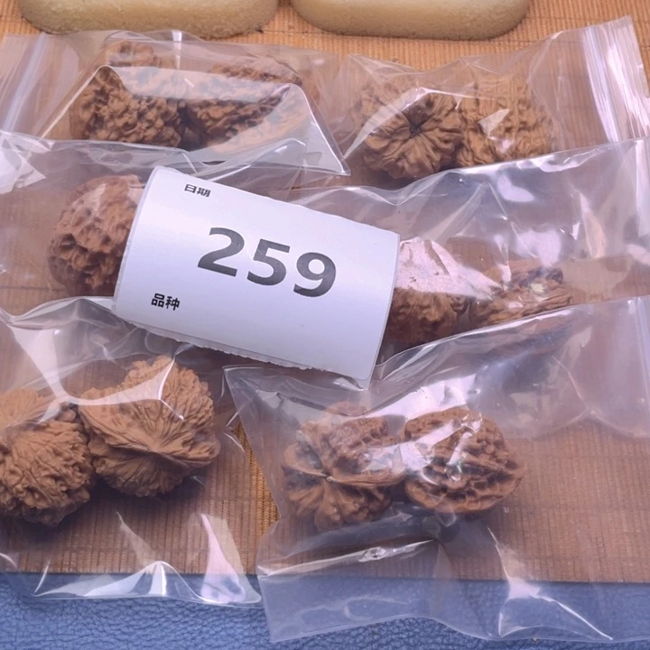 文玩核桃把件259号6对