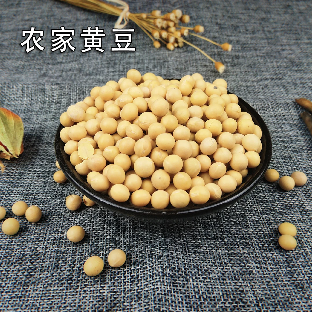 新货农家自种黄豆大豆打豆浆生豆芽黄豆500g
