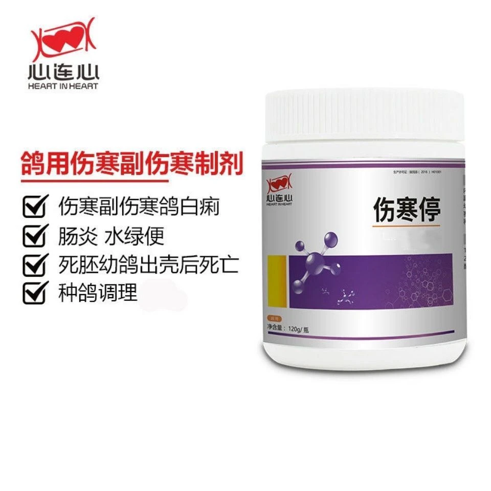 心连心信鸽伤寒停信鸽子感冒肠炎水绿便种鸽调理副伤寒保健营养品