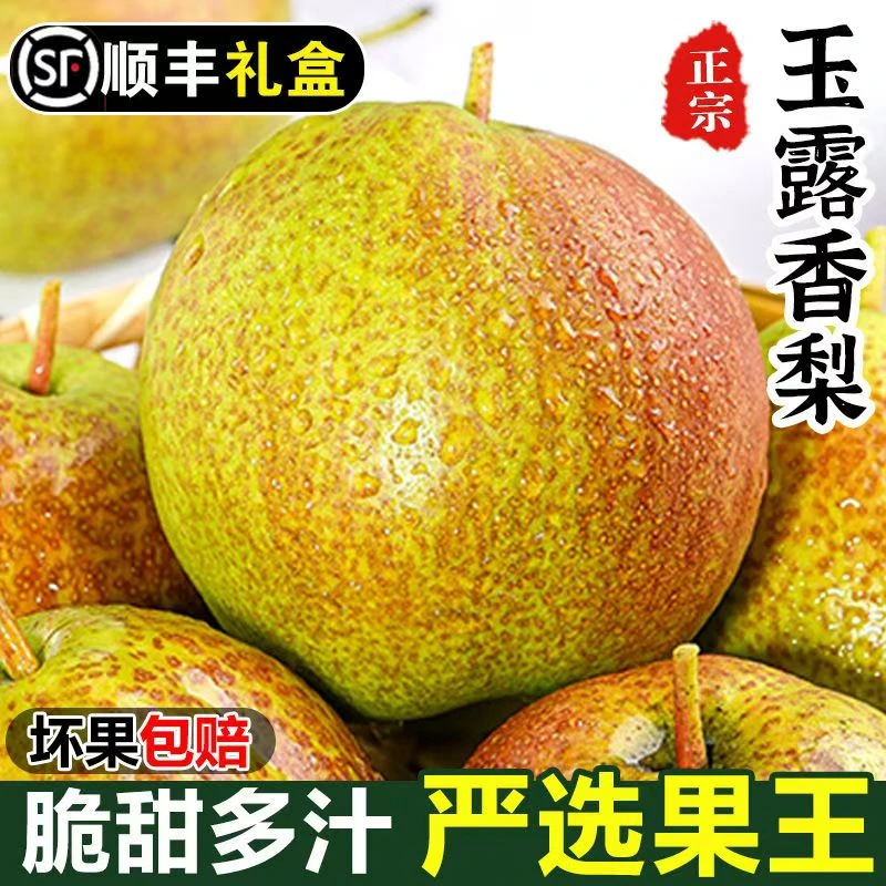 【一口爆汁】山西2-9斤玉露香梨礼盒酥脆整箱包邮应季水果梨子薄皮