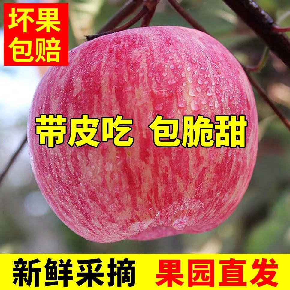 L新鲜苹果正宗陕西红富士应季多汁脆甜丑平果水果包邮1-9斤整箱包