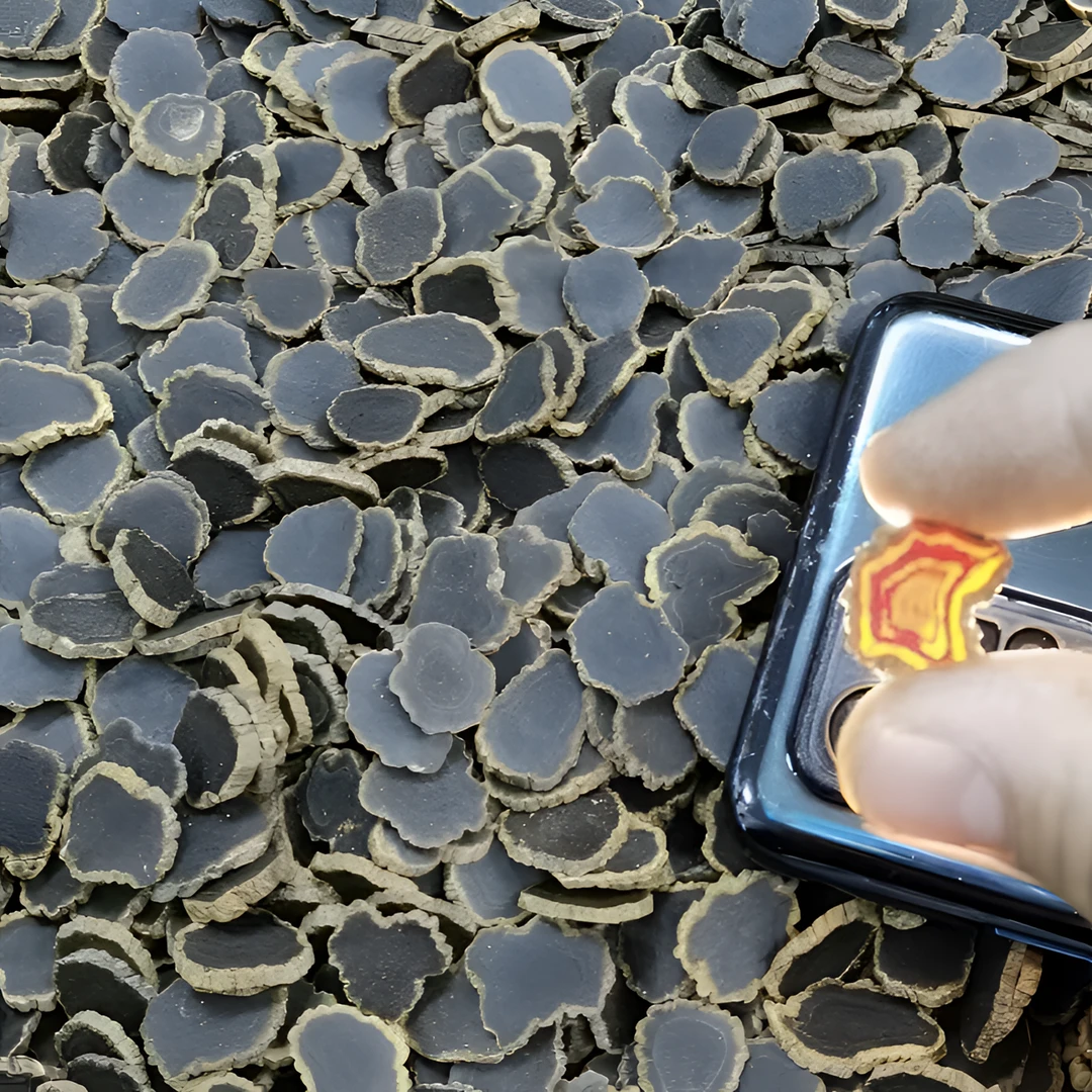 边境山货（嗨/渗）非菌菇