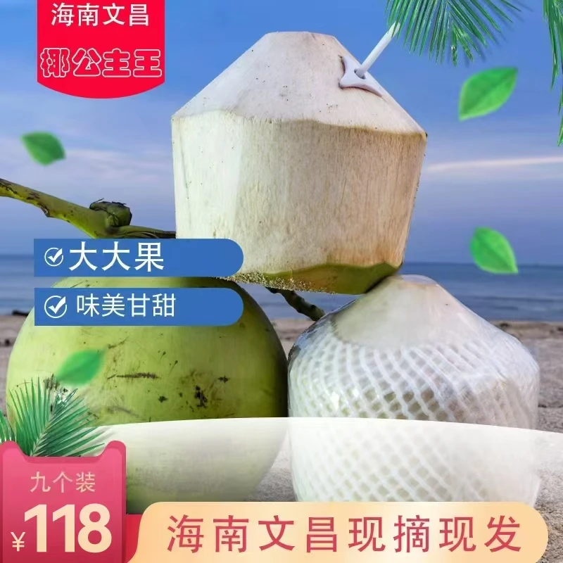 杉选 海南文昌东郊削皮椰青香甜大大果9个装~新品上市【配开椰器】
