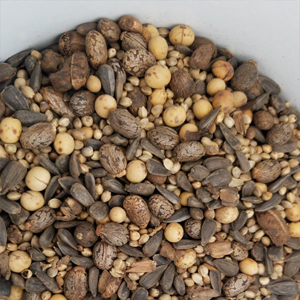 「君子兰专用腰肥」由炒熟小麻子蓖麻子油葵黄豆按比例混合一起组成