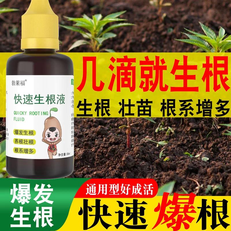 【快速爆根】勃莱福快速生根液移栽扦插生根水培植物通用强力壮苗