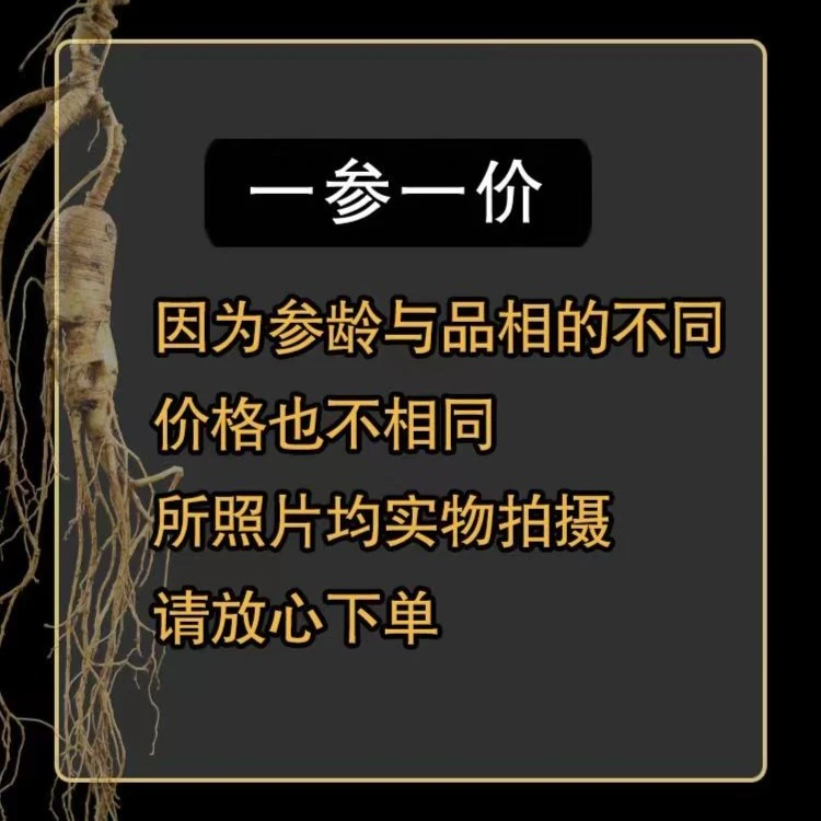 鲜参 人参 选货改价 链接