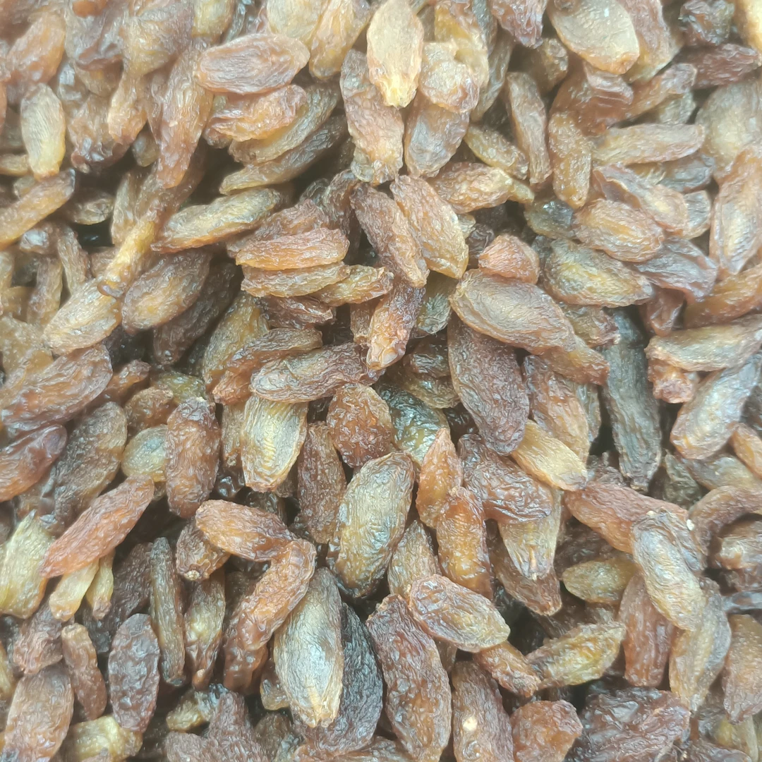 新疆和田特产无籽大葡萄干香甜软糯大颗粒