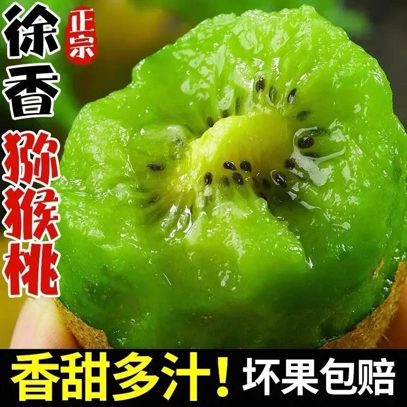 w正宗徐香猕猴桃陕西秦岭高山绿心猕猴桃现摘坏果包赔爆甜15-30枚
