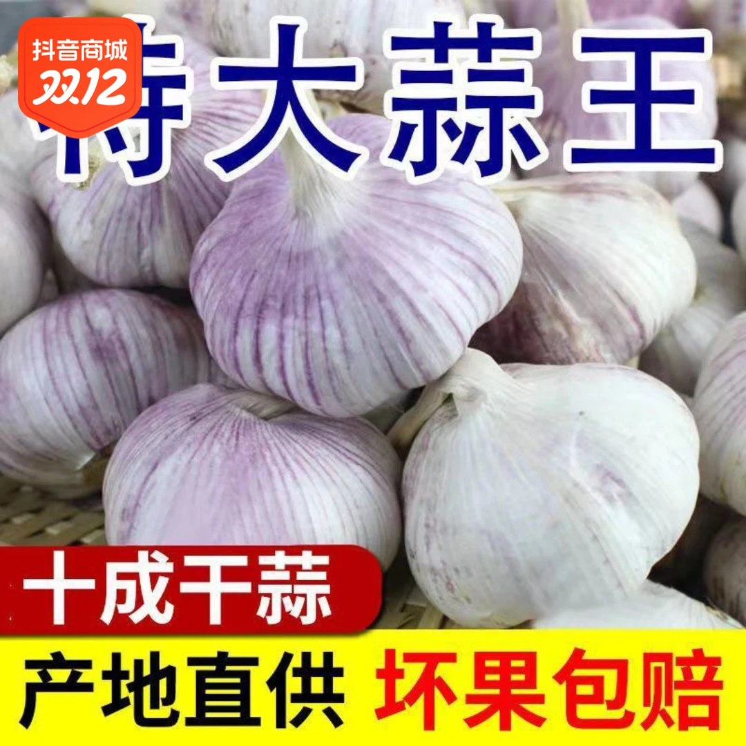 山东精选大蒜新大蒜头干蒜紫白皮批发新鲜蔬菜辣味调味蒜饱满蒜种