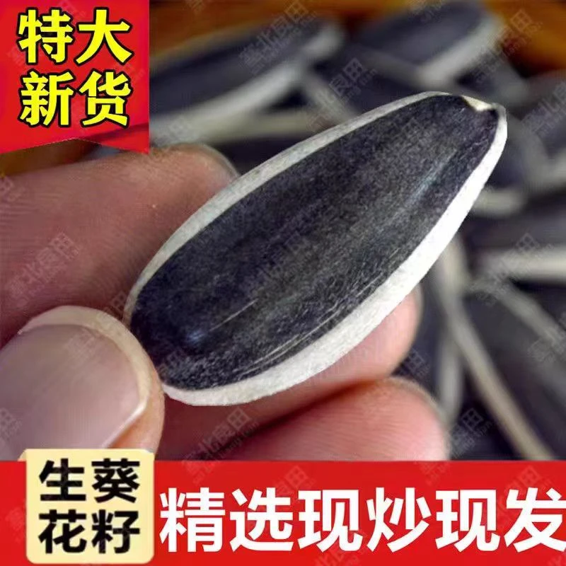 2023年东北（新）生瓜子