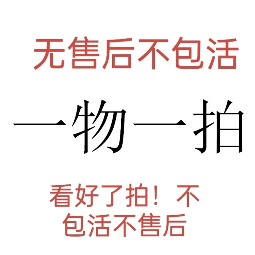 彩色三角梅福利（不售后）介意勿拍