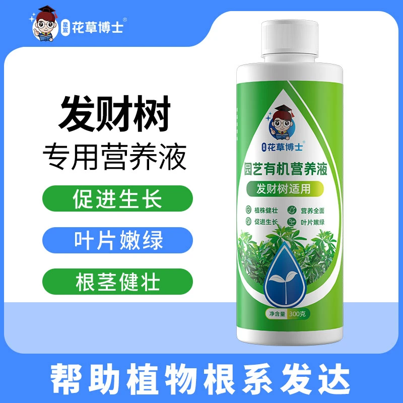 发财树适用浓缩营养液家用绿叶植物盆栽养花防黄叶生长配方专用