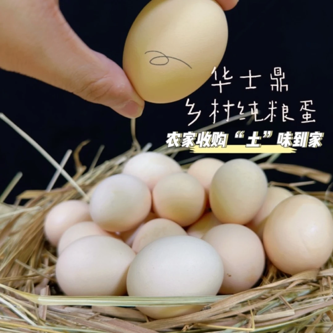 华士鼎 正宗粗粮土鸡蛋