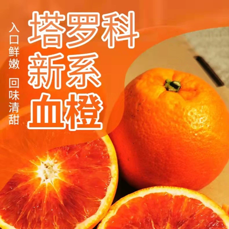 正宗重庆长寿湖血脐血橙果农自产自销新鲜下树带果酸味极兔包邮