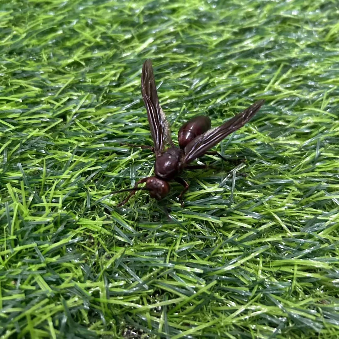 广西十万大山野生牛角蜂100只起拍