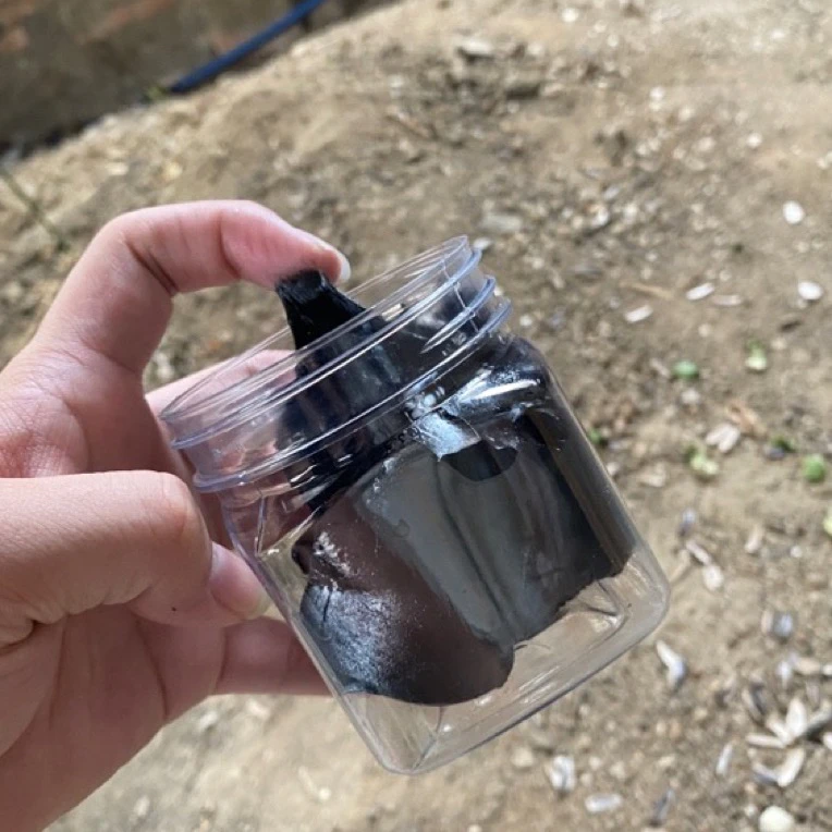 正宗越南胶水强力粘胶户外低温胶方便使用