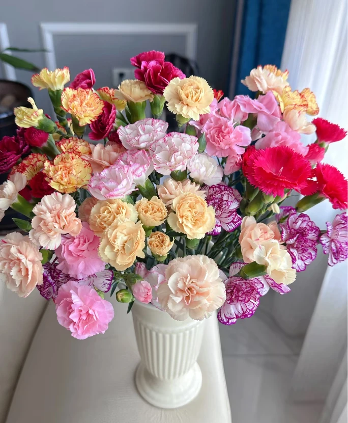 【新疆鲜花，全疆包邮】多头康乃馨盲盒20枝（颜色随机发）+营养液。