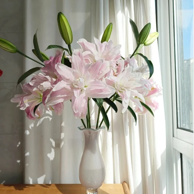 莲花雅致重瓣百合（3枝3头）＋营养液