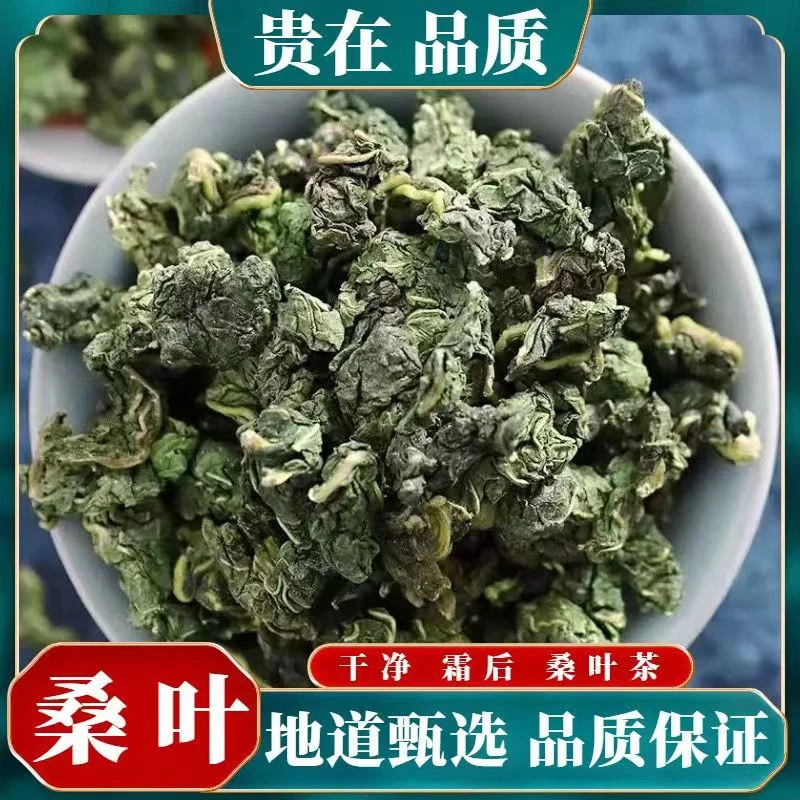 【桑叶】霜后桑叶茶 新鲜桑树叶 桑葚秋桑叶新鲜桑叶干正宗泡水泡茶
