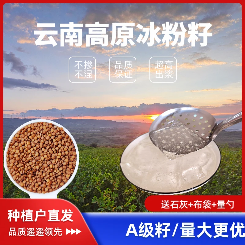 云南正宗高原冰粉籽木瓜籽手搓冰粉商用冰粉籽高出浆Q弹劲道