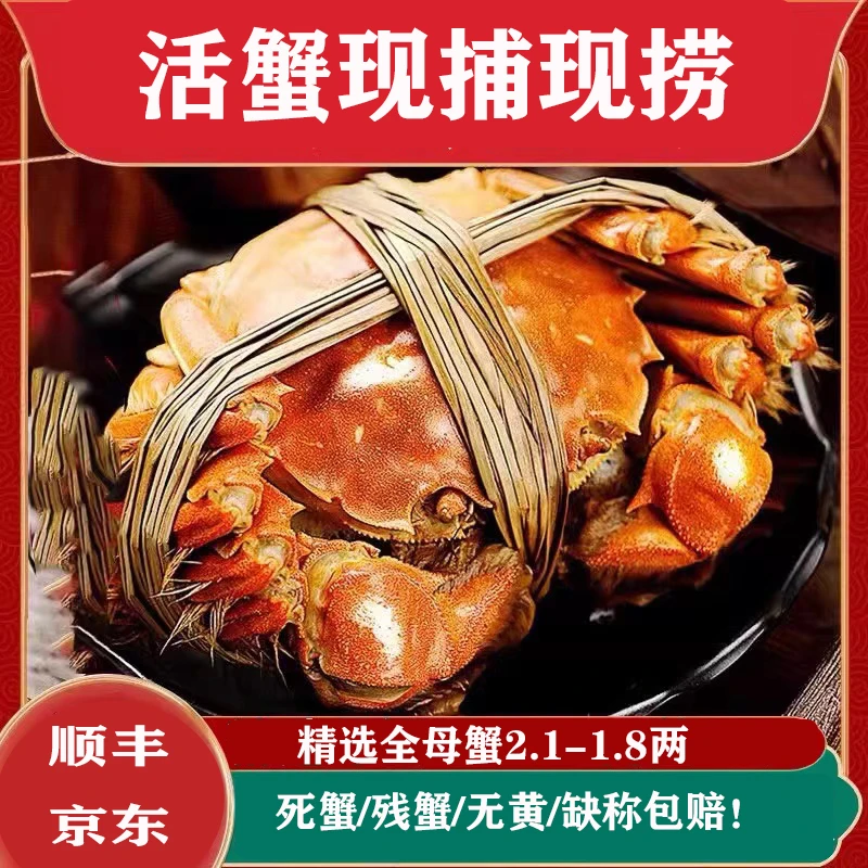 【活蟹现发】大闸蟹 全母精品蟹2.0两/只 8只10只 送2只 冷链空运