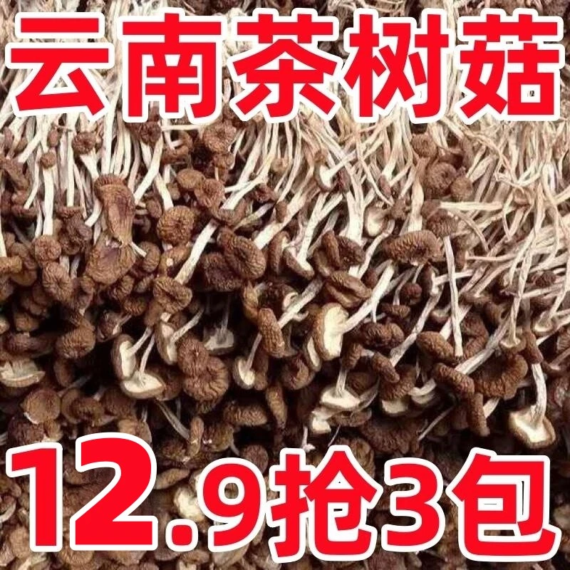 【清仓价】茶树菇 精选食用干货家用菌菇 高泡发 炒菜煲汤 菌香四溢
