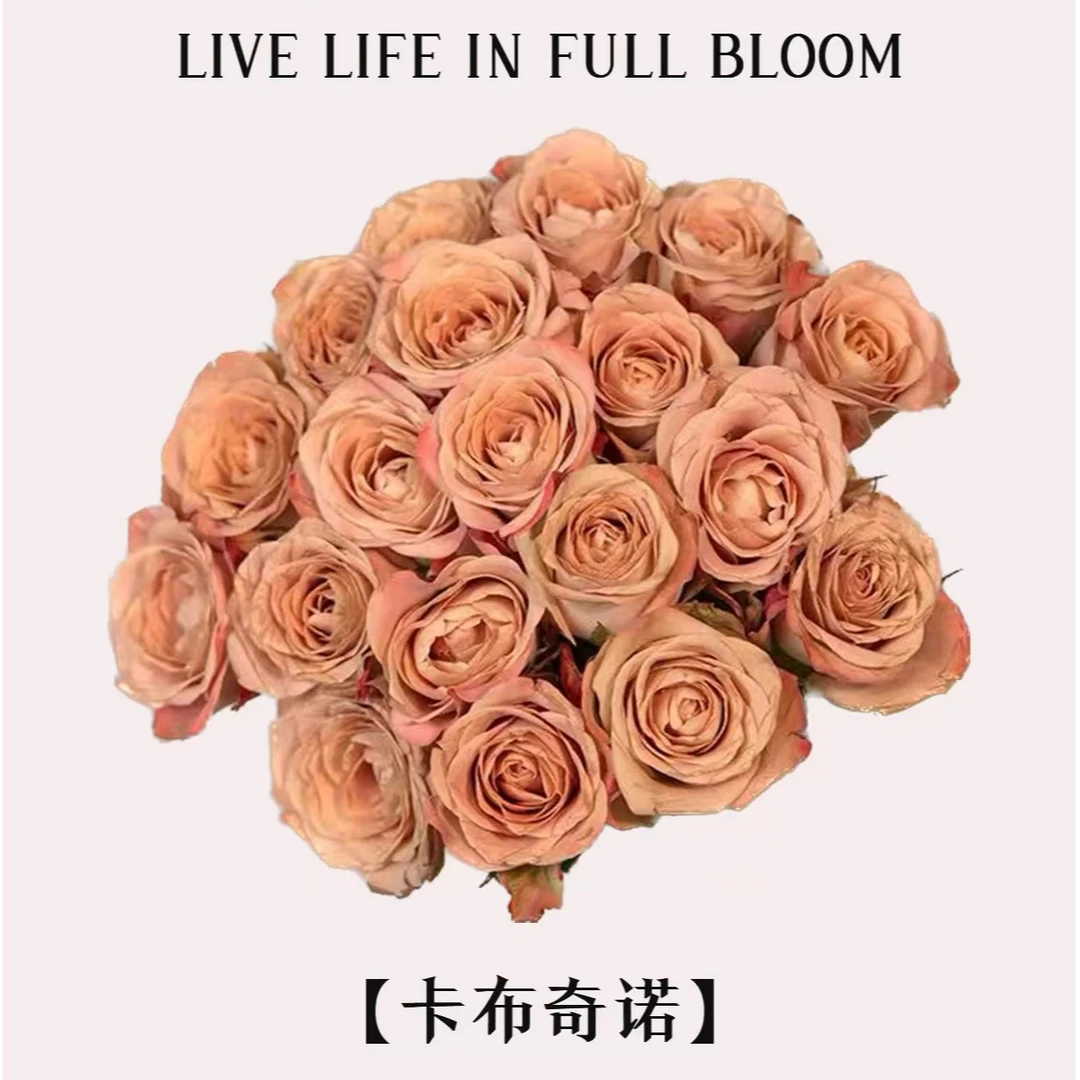 【卡布奇诺玫瑰10/20支】零度以下请拍保温棉，昆明优质鲜花基地直发