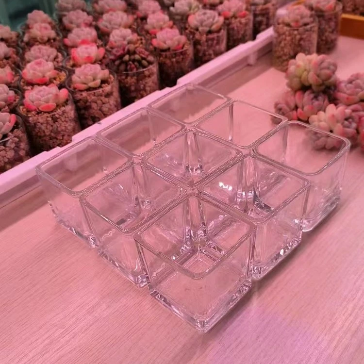 大口径5厘米四方玻璃瓶 可种植水培多肉植物仙人球