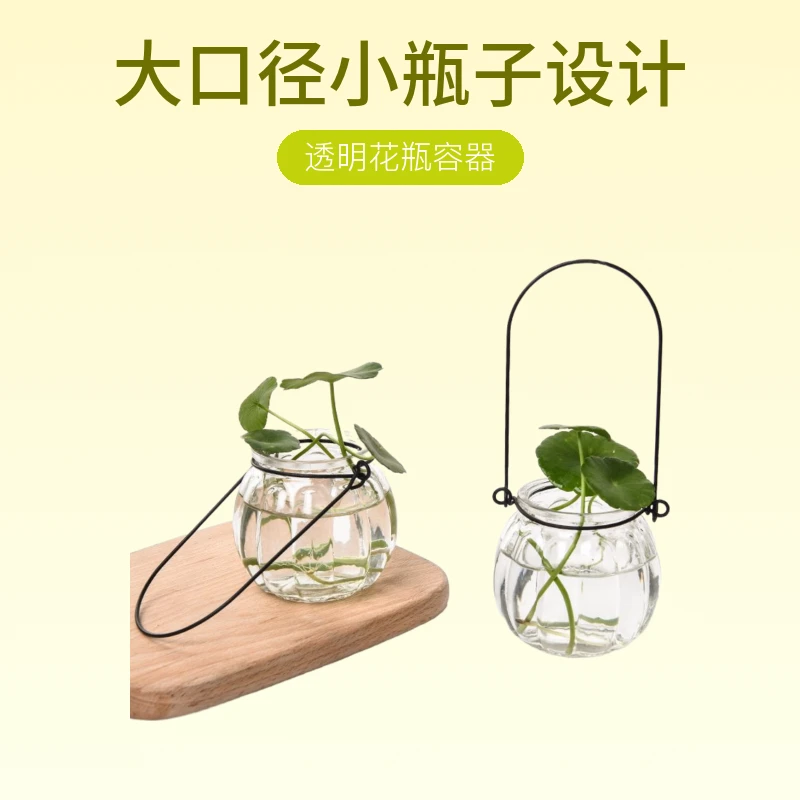 大口径小瓶子南瓜吊篮玻璃瓶水培绿植透明花瓶容器室内种植花盆
