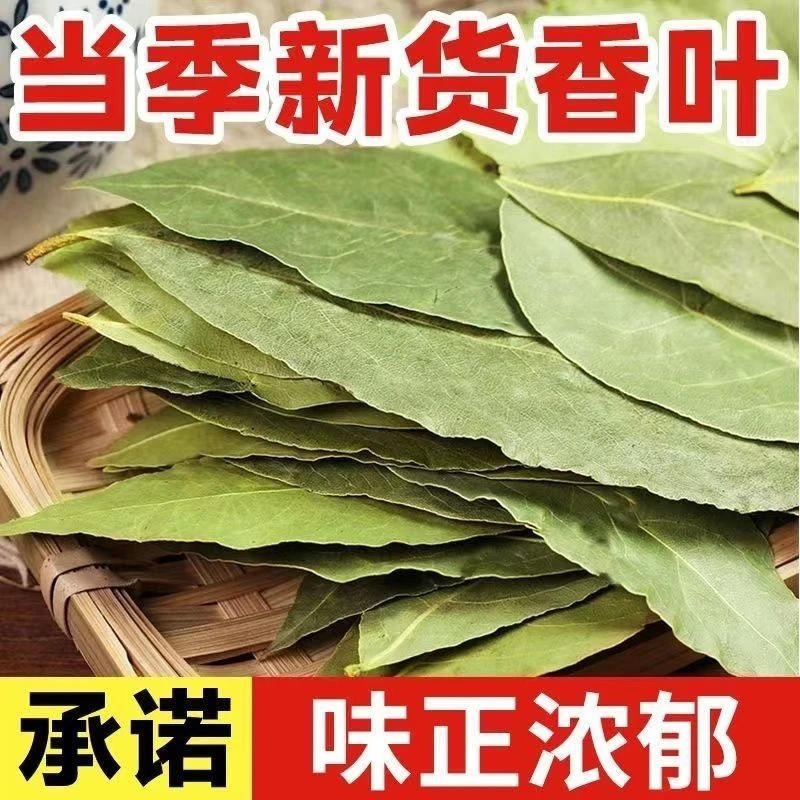 广西头茬新货香叶桂皮八角调味品卤料炖肉料炒菜调料香叶新鲜足干