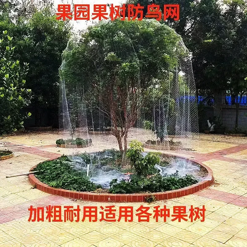 防鸟用的网葡萄樱桃嘉宝果线网丝网果园网罩水果树苗遮树蔬菜围网