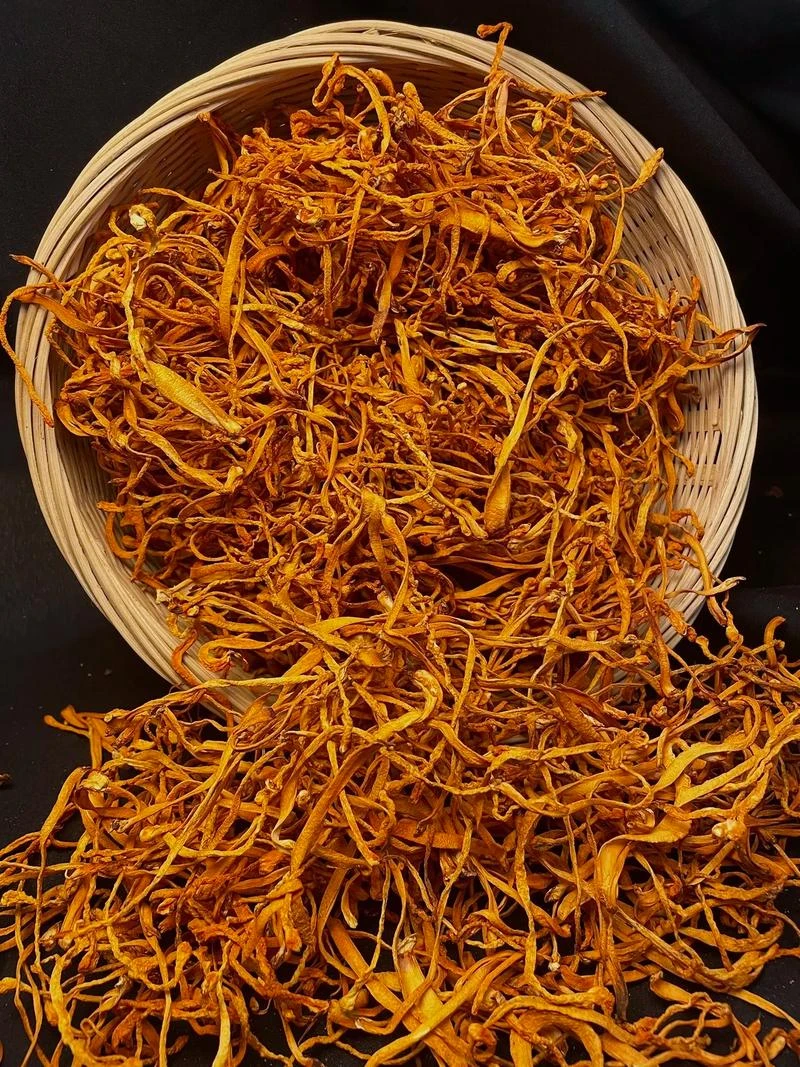 颜宸农品坊----虫草花