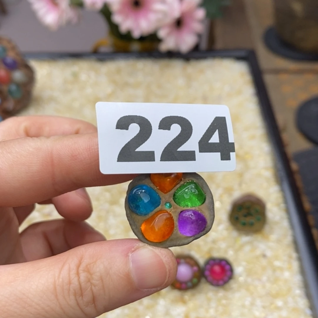 核桃木/黑胡桃（胡桃木）明****Y224