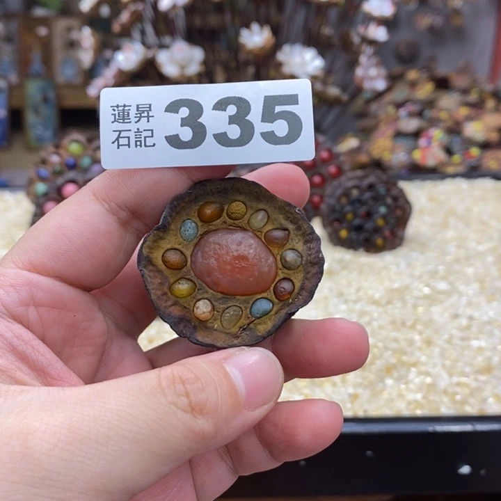 核桃木/黑胡桃（胡桃木）335