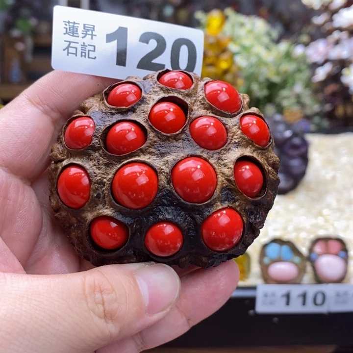 核桃木/黑胡桃（胡桃木）120蘑菇带把