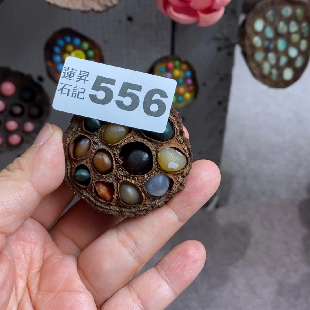 核桃木/黑胡桃（胡桃木）这****）556
