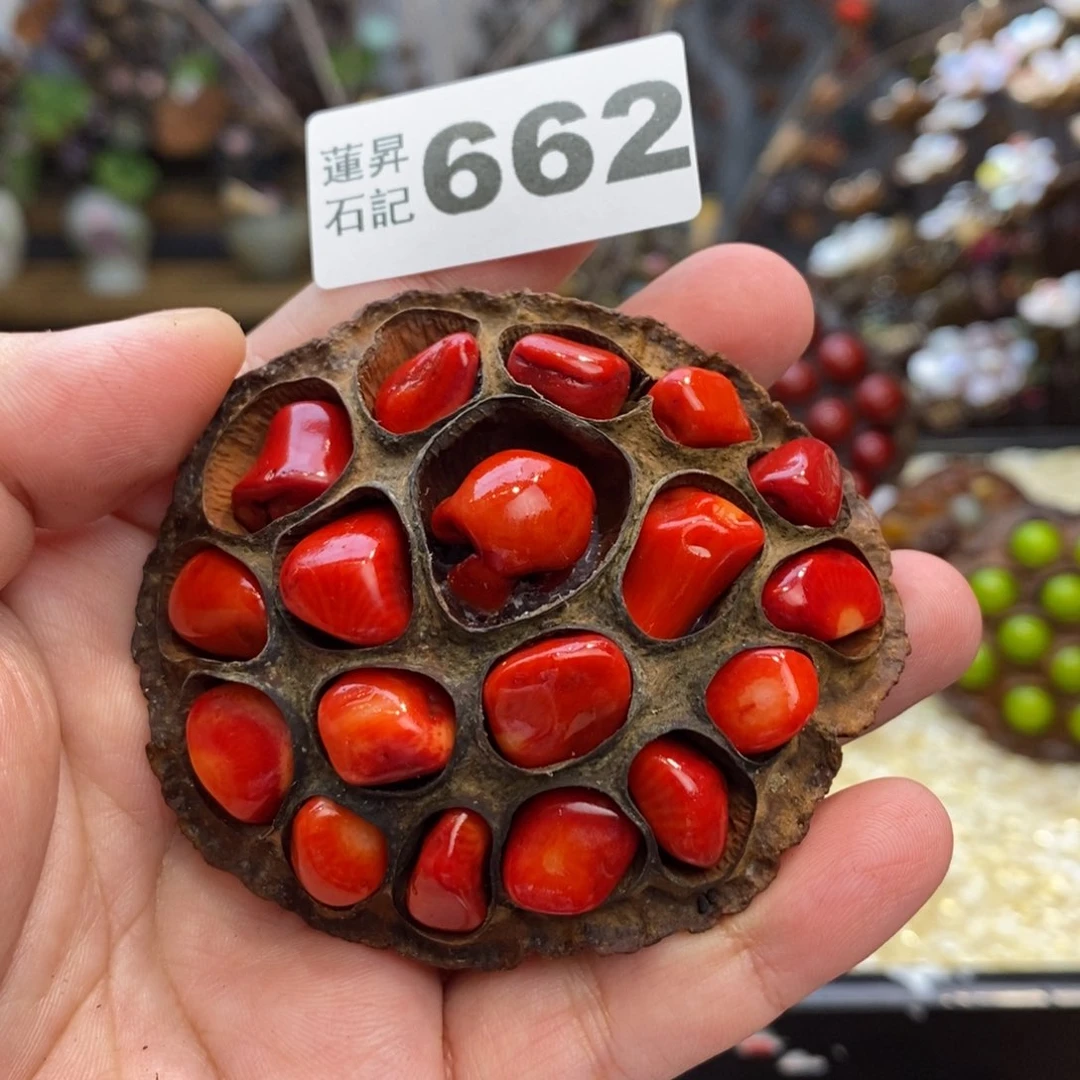核桃木/黑胡桃（胡桃木）杨**菲662