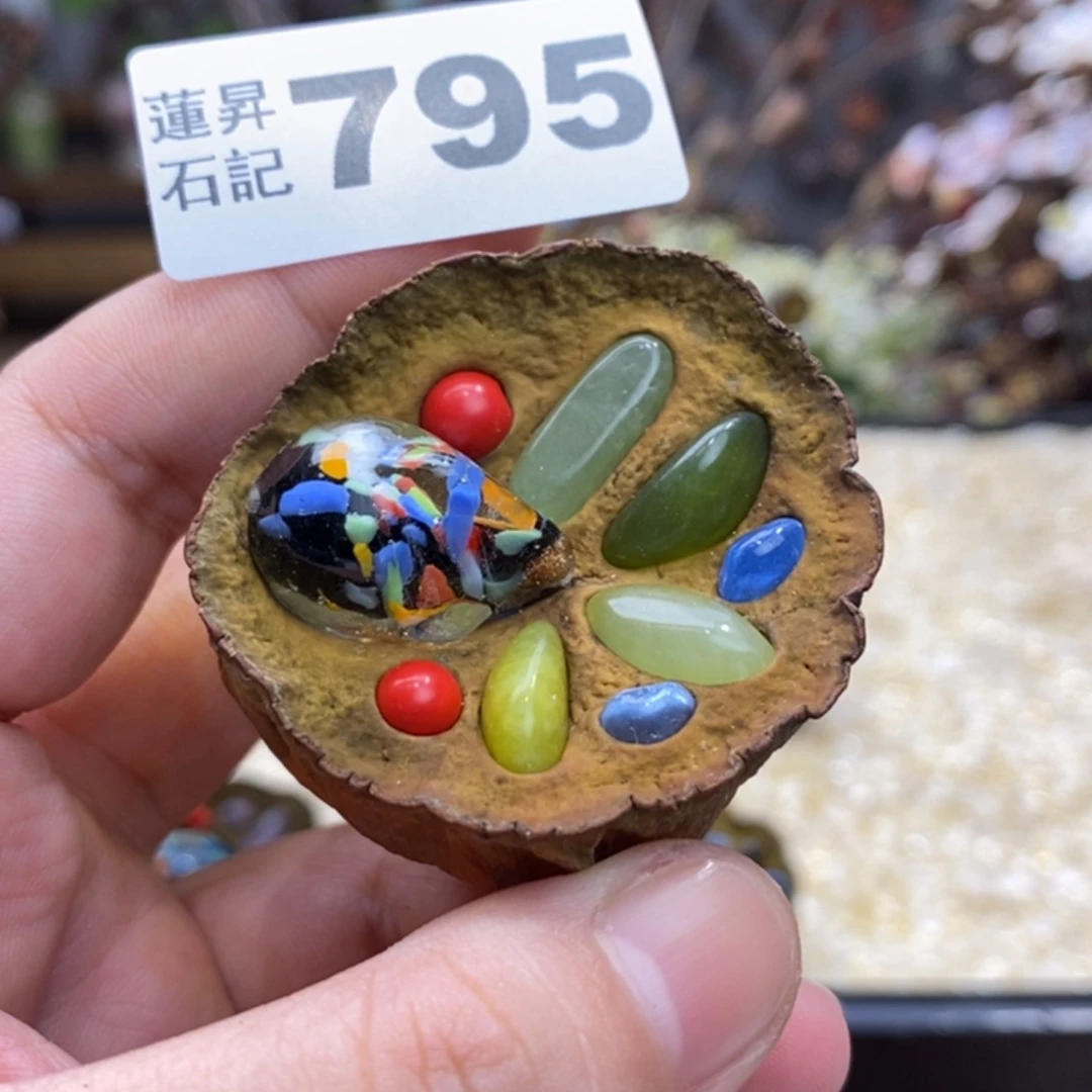 核桃木/黑胡桃（胡桃木）795