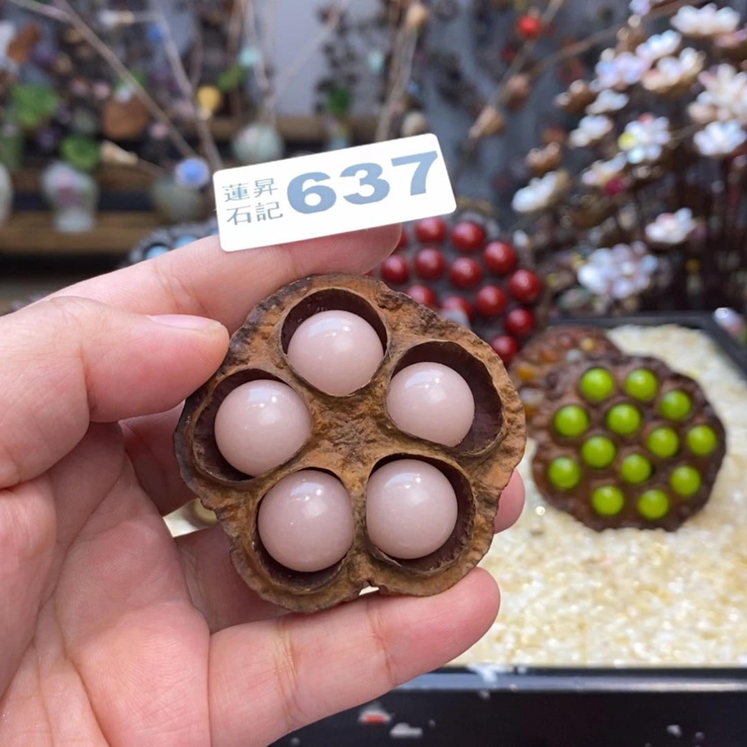 核桃木/黑胡桃（胡桃木）猫**?637夜光