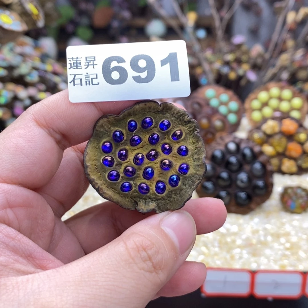 核桃木/黑胡桃（胡桃木）691